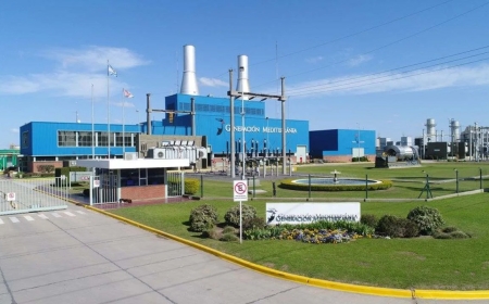 Grupo Albanesi en default: una deuda de u$s1.100 millones sacude al sector energético