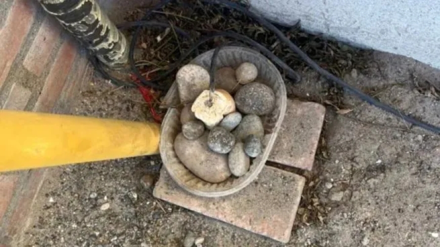 Indignación en Playa Unión por intento de maltrato animal con cable eléctrico
