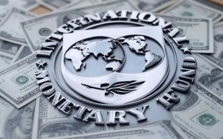 El FMI proyecta un crecimiento mundial de 3% y de 5,5% para Argentina en 2025