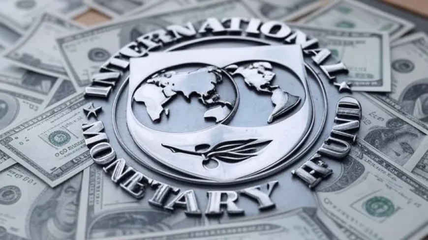 El FMI proyecta un crecimiento mundial de 3% y de 5,5% para Argentina en 2025