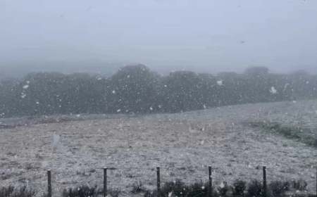 Ola polar en Brasil: ciudades del sur bajo nieve y récord de temperaturas bajo cero