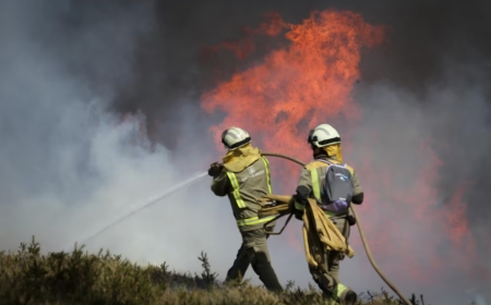 WWF advierte que 2025 podría ser el año con mayor superficie arrasada por incendios en lo que va del siglo XXI