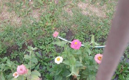 Esquel: el municipio intensifica controles por uso indebido del agua y falta de limpieza en terrenos baldíos