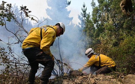 Despliegue total en Puerto Patriada: casi 500 personas y ocho medios aéreos combaten el incendio forestal