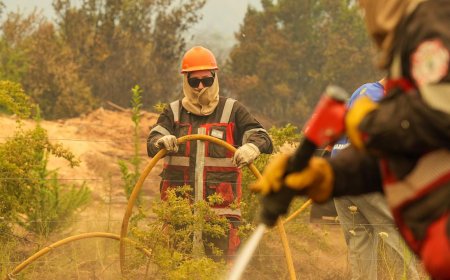 Provincia refuerza el operativo contra el incendio en Puerto Patriada