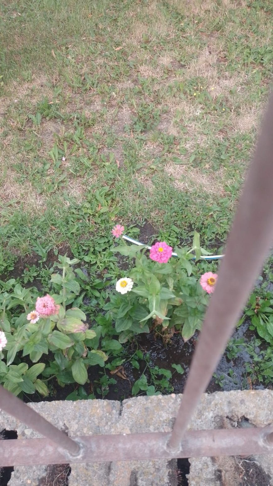 Esquel: el municipio intensifica controles por uso indebido del agua y falta de limpieza en terrenos baldíos