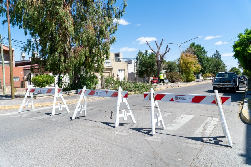Rawson: comenzó la primera etapa de remodelación integral del boulevard San Martín