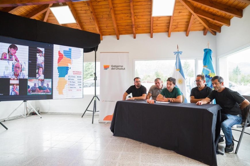 Gobernadores patagónicos piden Emergencia Ígnea al Congreso