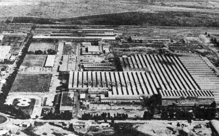 Alerta por desindustrialización: el peso de la industria cayó a niveles de preguerra